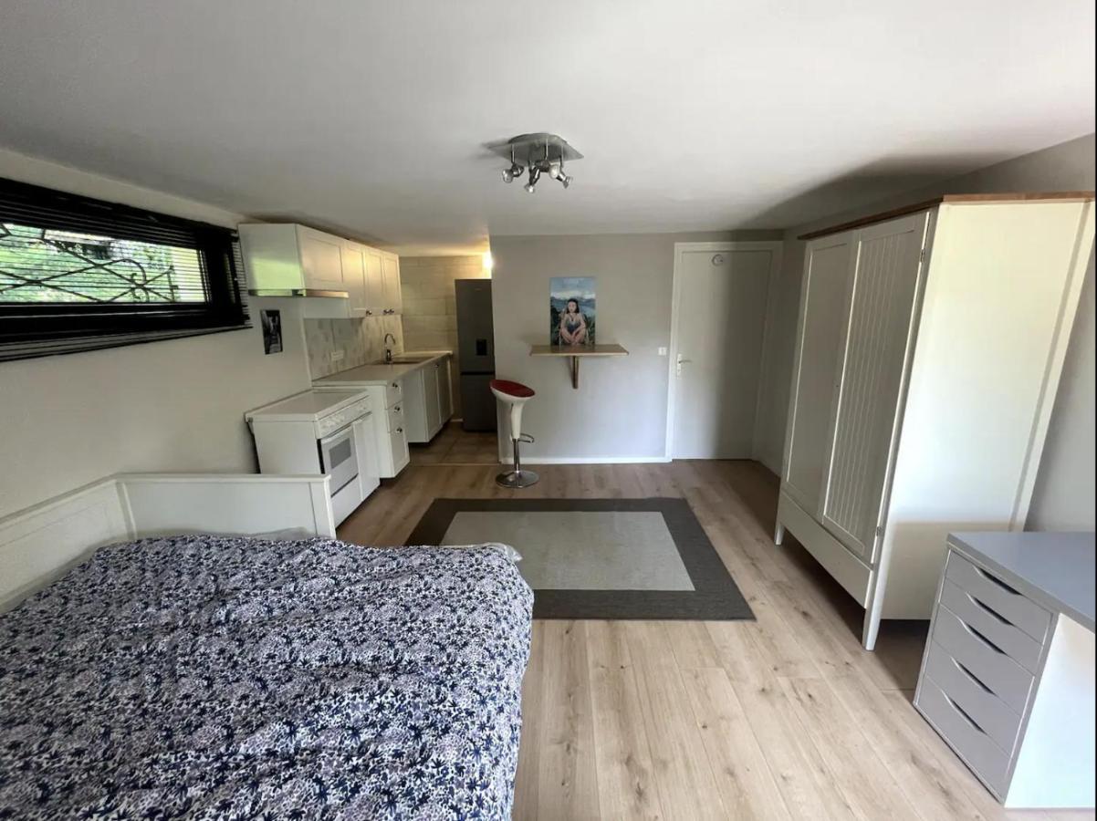 Quiet Studio In A House In Sevrier Annecy Lake Very Close To The Lake 外观 照片