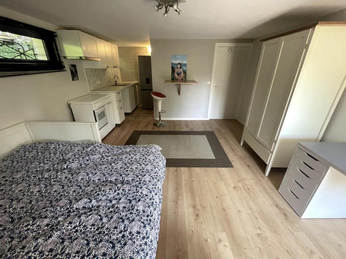 Quiet Studio In A House In Sevrier Annecy Lake Very Close To The Lake 外观 照片